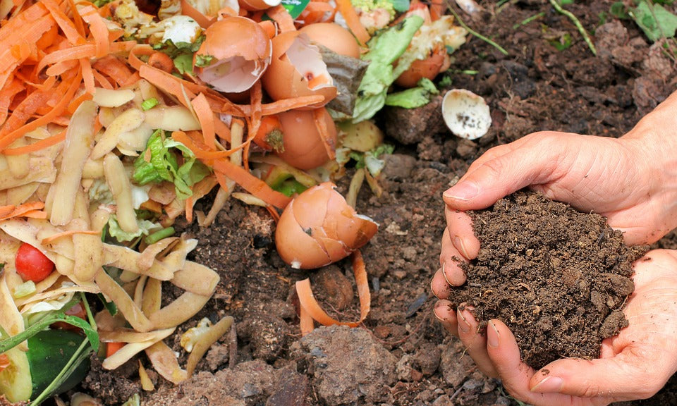 Jardin écologique : composteur, faire son compost et réduire ses déchets -  Blog maison écologique : le green blog