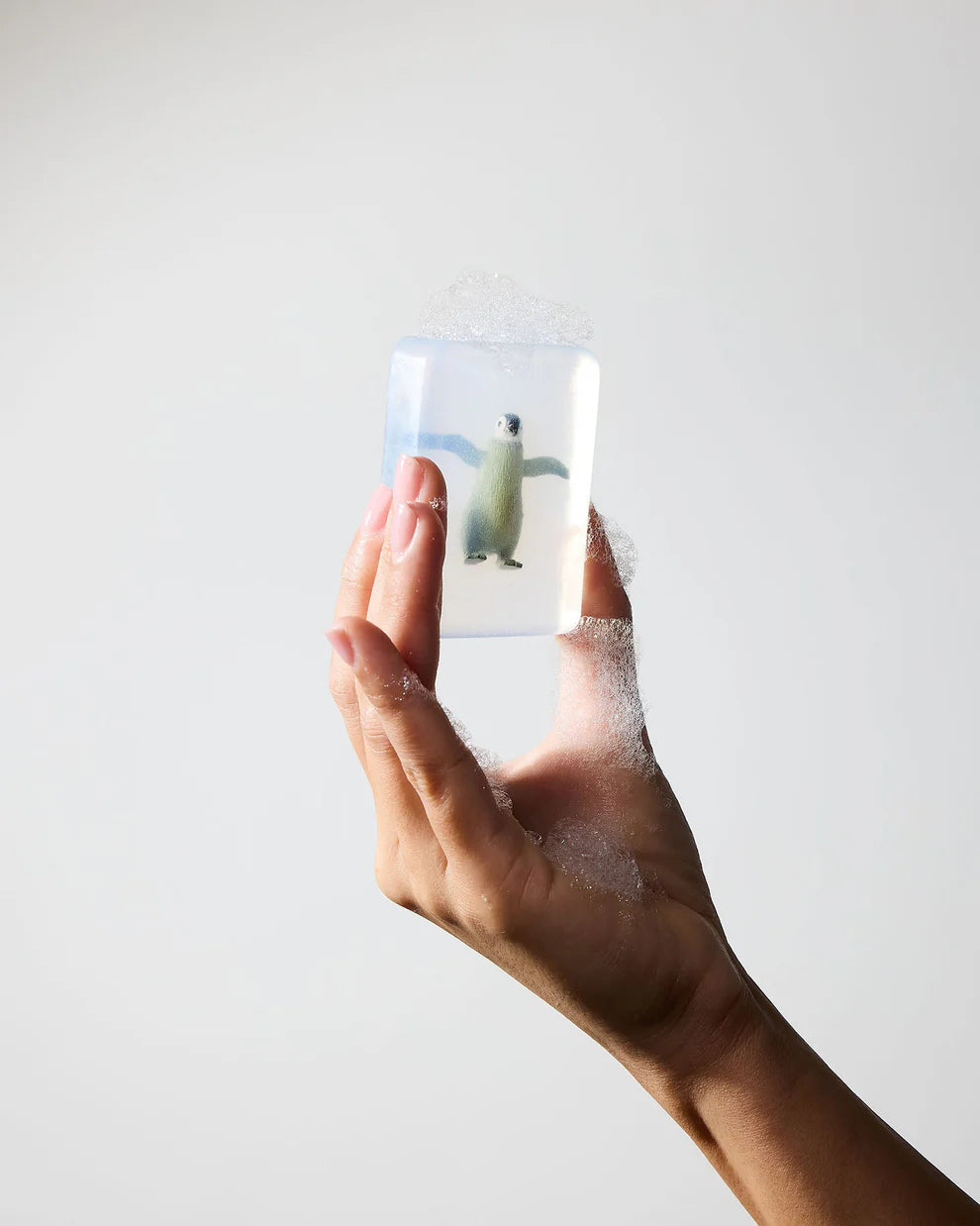 Soap with figurines of your choice (animals, Pokémon, etc.)