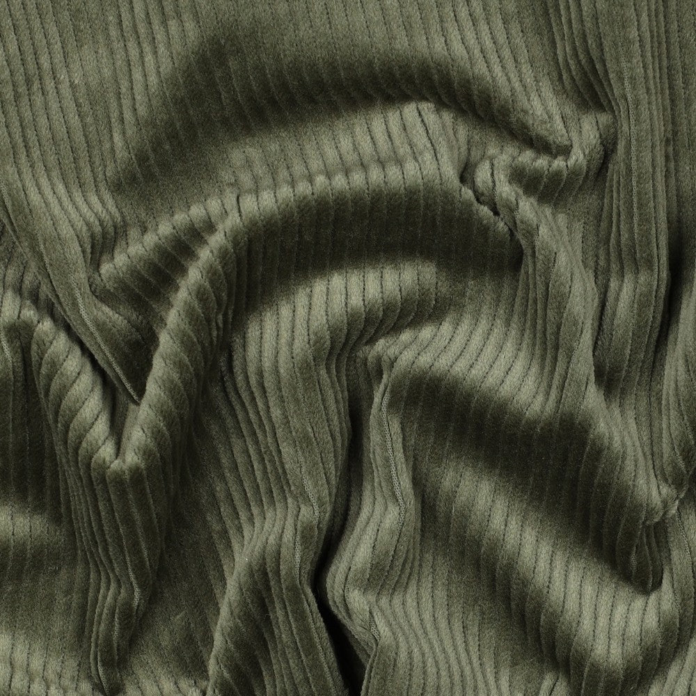 Alexia cotton poplin