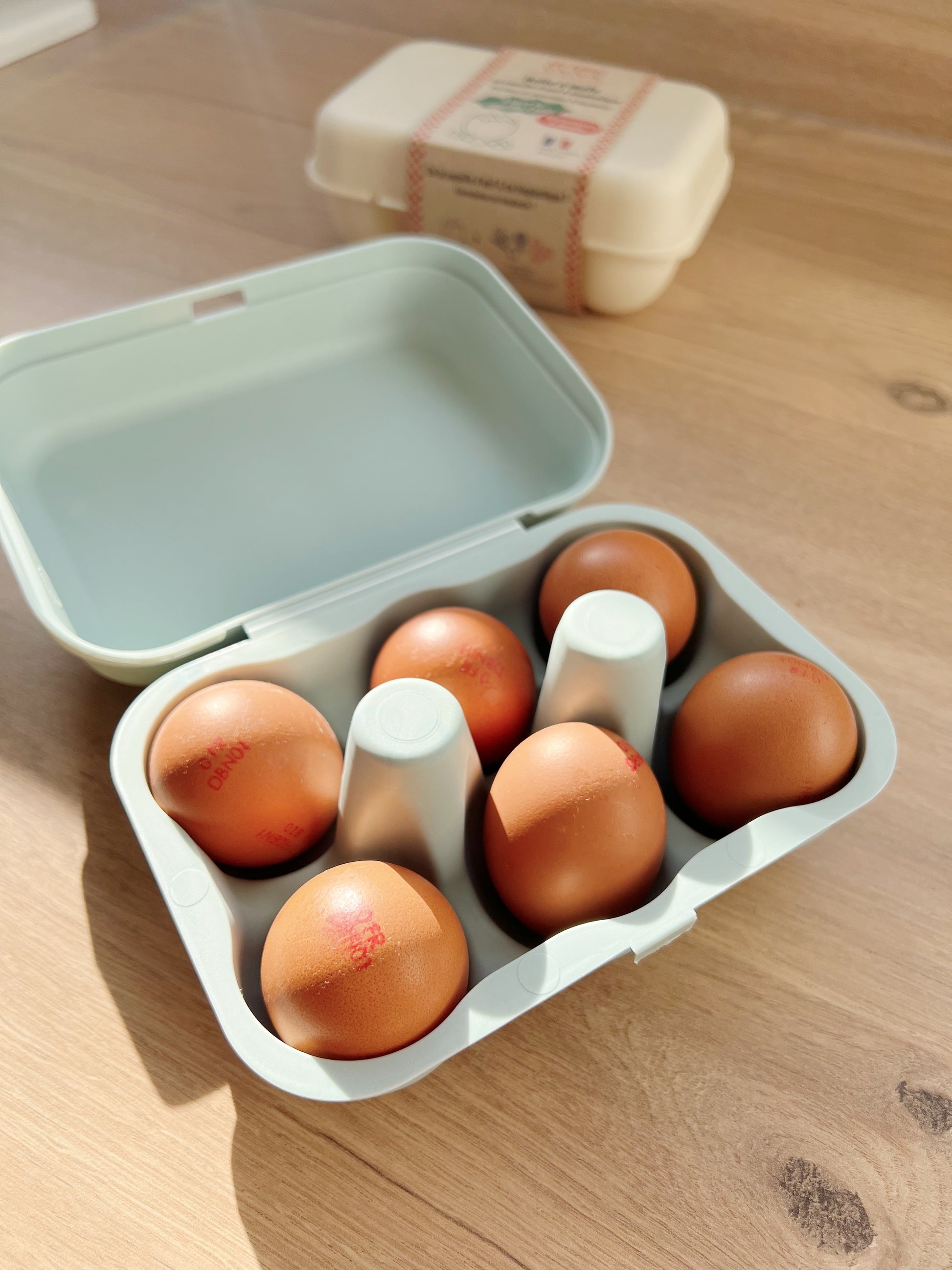 Bioplastic egg carton