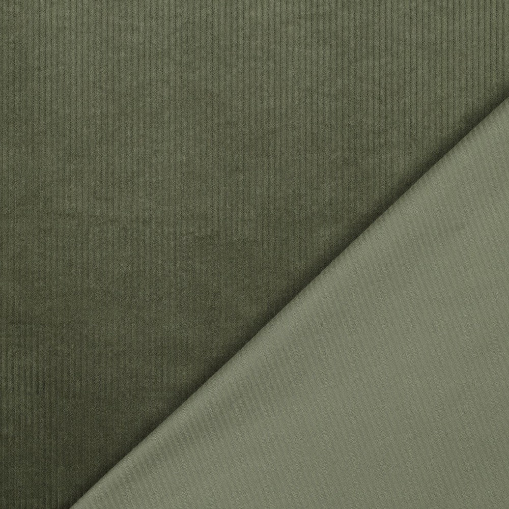 Alexia cotton poplin