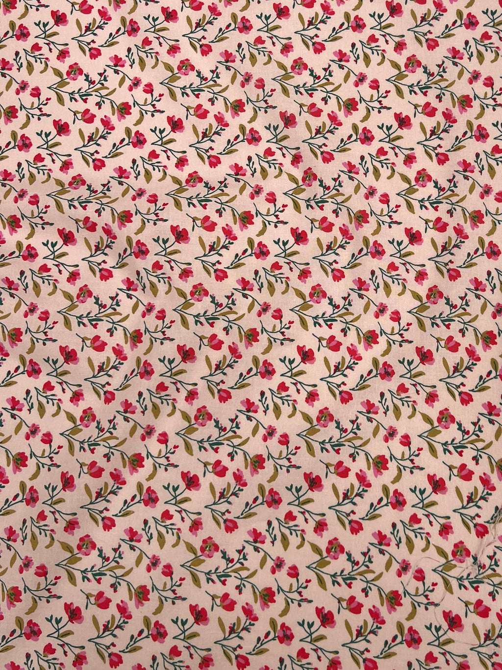 Coton imprimé Claudia