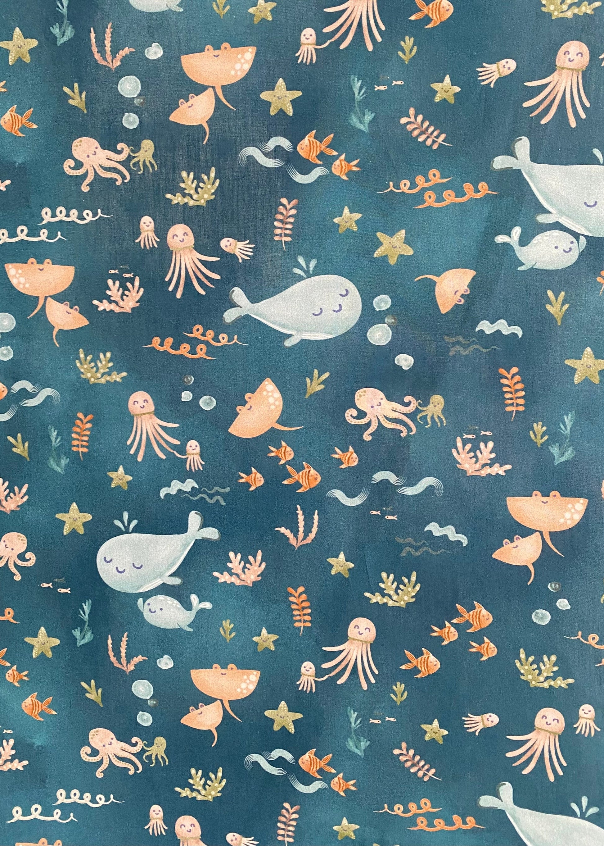 Popeline de coton Baleine