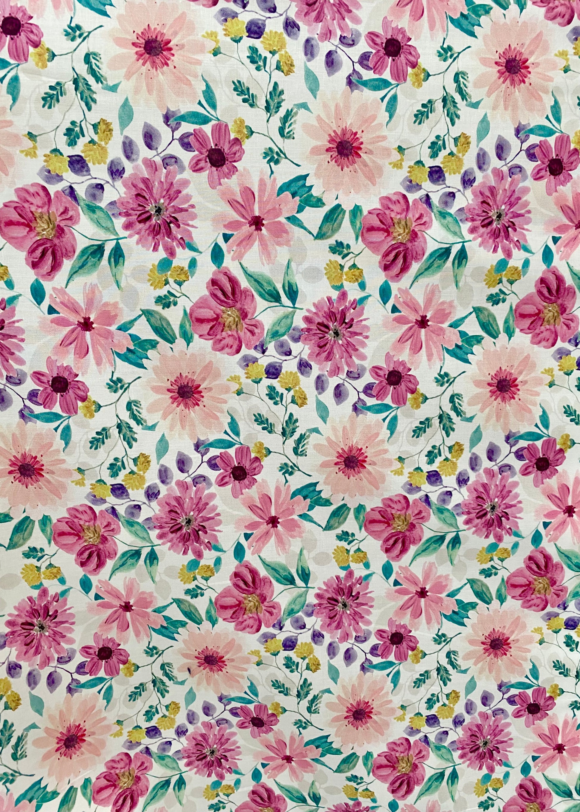 Popeline de coton Dalia prune