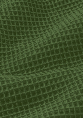 Nid d'abeille fougère