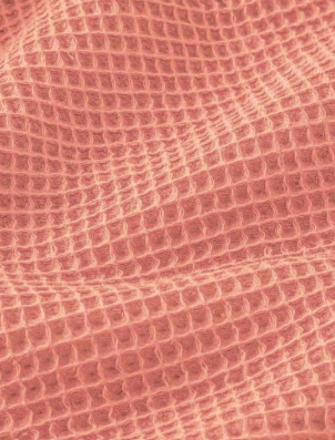 Nid d'abeille marsala