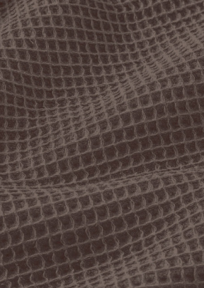 Nid d'abeille raisin