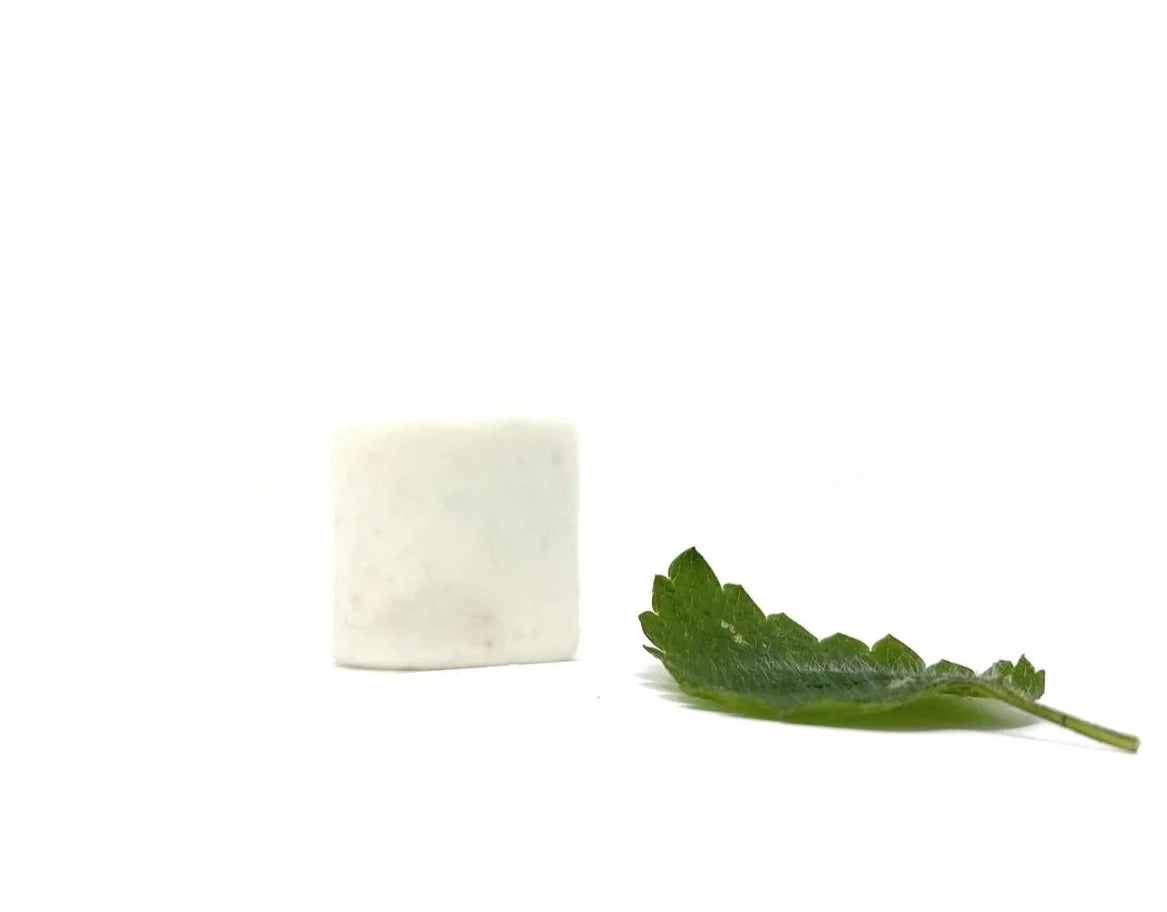 Dentifrice solide (menthe) - Caliquo - 1