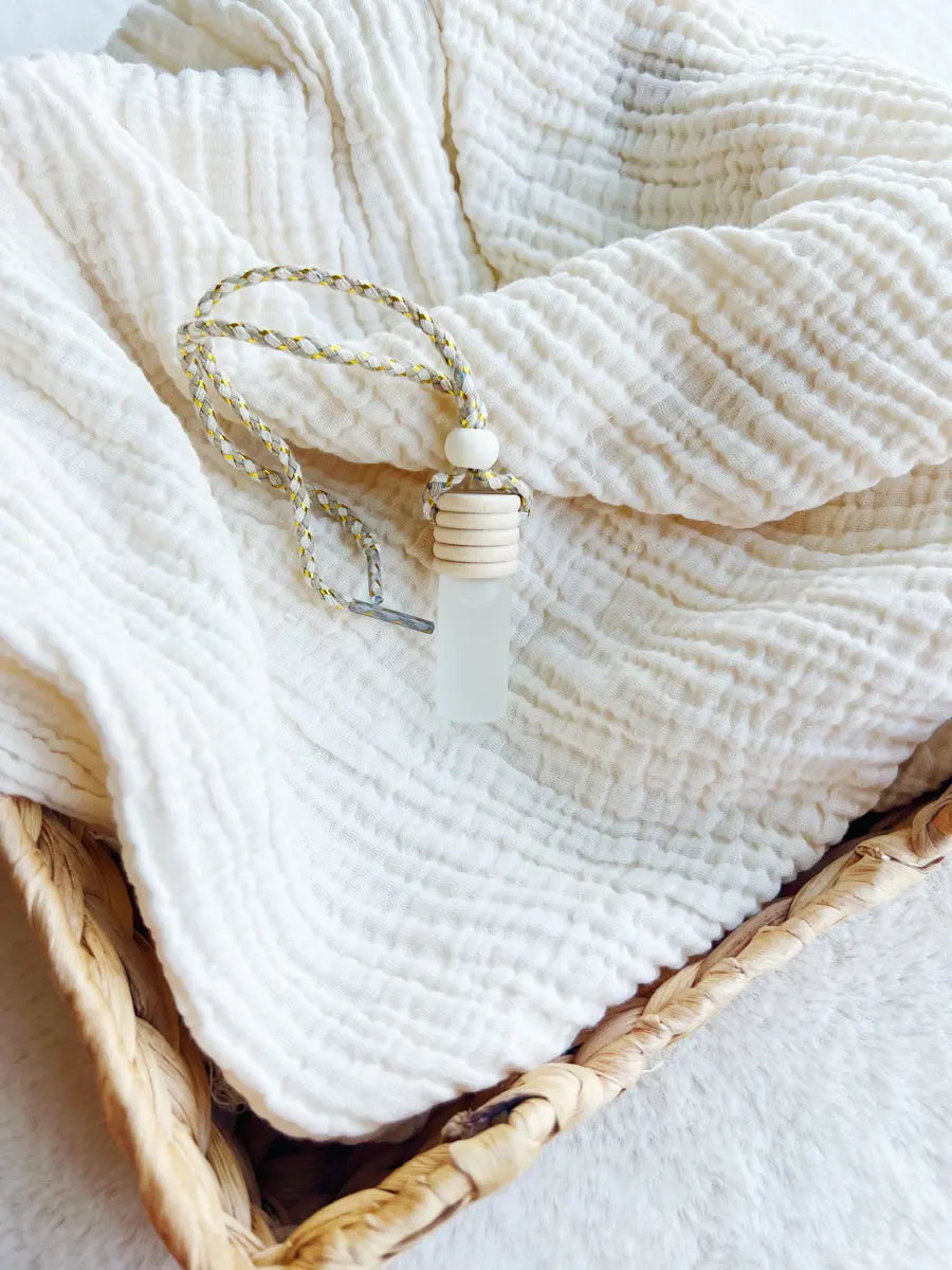 Diffuseur voiture - 2