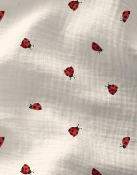 Double gaze Coccinelles - 1