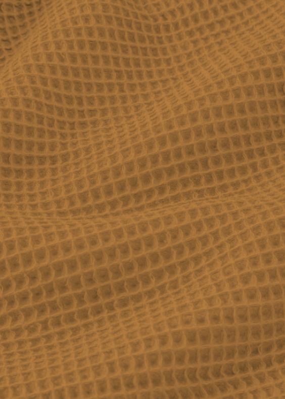 Nid d'abeille camel - 1