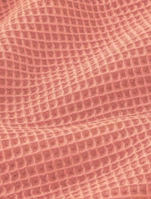 Nid d'abeille marsala - 1