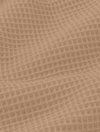 Nid d'abeille mocha - 1