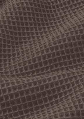 Nid d'abeille raisin - 1